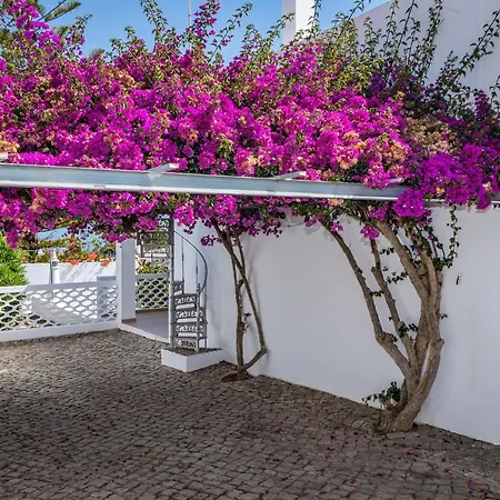 Lima Albufeira